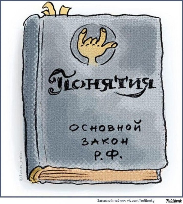 "Ты на её защиту встанешь": в России выпустят детскую конституцию с картинками и стихами