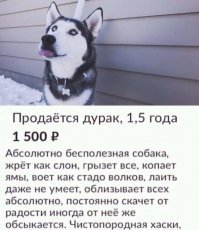 Намешалось