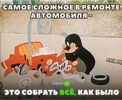 Прикольные и смешные картинки
