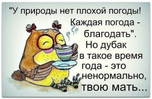 Прикольные и смешные картинки