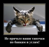 Чистота-залог здоровья..... и расшатанных нервов