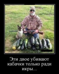 NeFормат