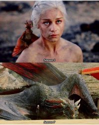 У вас дезинформация.
Она их не рожала, у нее последние три драконьих яйца были, доставшиеся по наследству что ли. И считалось что они мертвые, но у нее вылупились после пожара.
Потому и прозвали "матерь драконов".