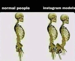 Прикольные и смешные картинки