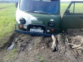 Чет приуныл пучеглазенький! :)