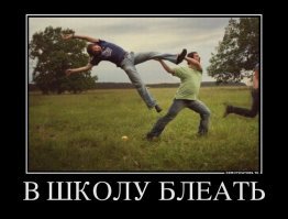 Снегопад вызвал хаос в Австралии