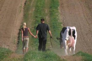 В чем "трэш/угар/деградация"?