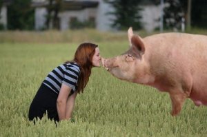 Фотошоп же, особенно видно из за "клонированной" растительности и смазанной тушки )