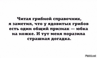 6 самых необычных способов искать грибы
