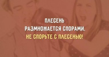 Когда умеешь играть со словами