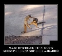 Действительно ли разные виды алкоголя заставляют нас пьянеть по-разному?