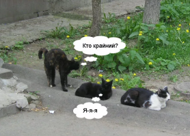 Демотивируй