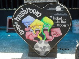 Грибы на Бали опасные)