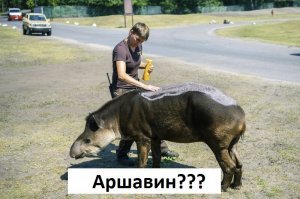 С добрым утром!