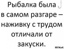 Прикольные картинки про рыбалку