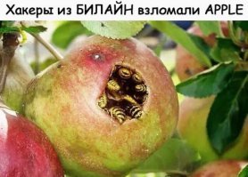 Псевдо анонимная информация для точной идентификации человека