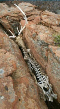 Камбоджиец намертво застрял в узкой расщелине и провел так целых 4 дня