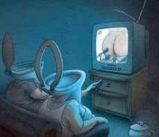 "Толчок" в новый день.