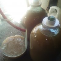 Ведь для производства вина человечеству сначала нужно было придумать качественную керамику, в которой можно было бы хранить и выдерживать виноград и получившееся вино. В то время, как пиво можно получить в более примитивных емкостях, к примеру   в деревянных сосудах. 

Что ты такок несешь? Для проищводства примитивного вина достаточно сложить дикий виноград в любую емкость далее природа слелает сама, гронки пустят сок а дикие дрожжи его сбродят.
Тогда как чтобы получить пиво надо было додуматься хранить ячмень в сыром месте, чтобы он начал проростать, после этого додуматься не кпшу с него варить а жидкую субстанцию, да не в обьеме разового потребления, а так чтобы неделю стояло и не прокисло, а каким то образом попали туда дрожжи и переработали сахаоа на алкоголь. А потом пробовать это на вкус. 
Мое доказательство моих слов на фото, домашнее пиво моего производства, о вине найдешь в моем профиле посты, с чего ты взял свои выводы?