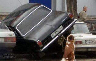 Напомнило.
