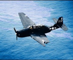 ни одного шедеврального фото не увидел