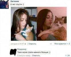 Кот другой, у котенка нет на носу рыжего пятна.