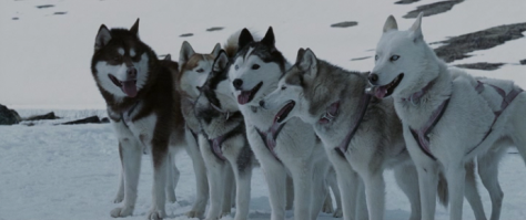 Еще можно добавить. А как автор поста пропустил два фильма, указанных выше, вообще непонятно.