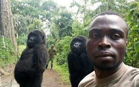 Намешалось