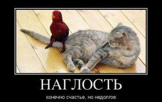 О людях, которые все берега попутали