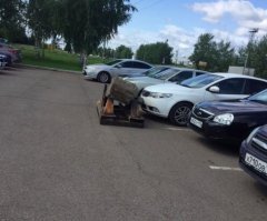 Подозреваю, что назад он сдать не может!