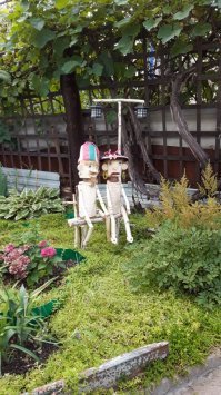 15 простых способов облагородить территорию, чтобы соседи ахнули от зависти