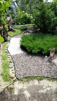 15 простых способов облагородить территорию, чтобы соседи ахнули от зависти