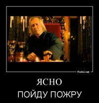 Хозяин хотел усыпить растолстевшего ретривера, но ветеринар отказался