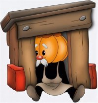 Король полторашек: новосибирец построил стену из пластиковых бутылок из-под «Карачинской»