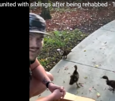 Нет, не так, изобрази сентиментальность.