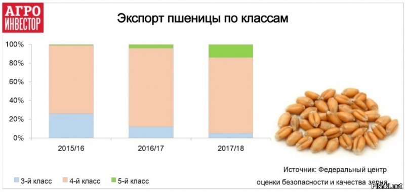 Зерно пшеницы может быть отнесено к 5-ти разным классам. К продовольственным относятся классы пшеницы с 1-го по 4-й. 5-й класс считается фуражным. 1-й и 2-й классы пшеницы иногда называются «сильными», так как могут быть использованы для улучшения качества пшеницы более низких классов. Пшеница третьего класса – т.н. «ценная» - средняя по силе, обладает хорошими хлебопекарными свойствами. Из муки ценной пшеницы получается хлеб хорошего качества. Она не нуждается в добавлении муки сильной пшеницы, но эффективно улучшить муку из более слабой пшеницы (4-го класса) не может. 4-й класс пшеницы иногда называется (в силу слабых хлебопекарных показателей муки из неё) «условно продовольственным». Мука, приготовленная из зерна 4-го класса, обычно должна быть доведена до требуемого уровня содержания клейковины либо мукой из «более сильной» пшеницы, либо путём добавления каких-то улучшителей (сухая клейковина и проч.).