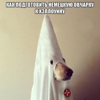 Собачка костюм не дошила. Вот как надо :)