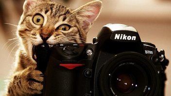 Обязательно воспользуемся))