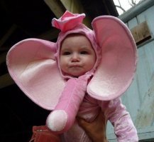 «Не прокатило» от застройщика