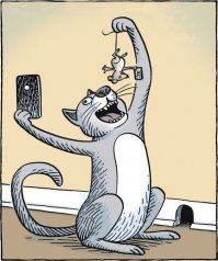 Парень из Гонконга создал девайс для идеального селфи с котом