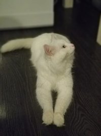 У меня такой же п.и.з.д.ю.к.