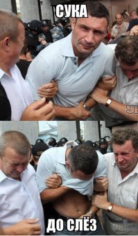 Прикольные и смешные картинки