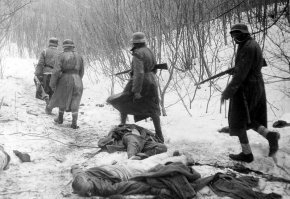 Известно, что там воевала 2 венгерская армия под командованием генерал-полковника Яни, который после поражения его армии под Сталинградом был отозван в Венгрию. Нового назначения не получил.

А по поводу "артефактов".
Не знаю какой вы поисковик, но как специалист по истории вы не очень.
На фотографиях зимы 1942-1943 года венгерские солдаты обмундированы в немецкую форму (шинели и каски) и отличаются от фрицев только ботинками с обмотками.

Ну а про СУ-152 в Сталинграде, о которых так дружно затравили автора комментария - зря смеетесь. У пожилых людей часто происходит наложение событий и деталей друг на друга. Сам разговаривал с ветеранами, которые рассказывали что у них в 1941 году был ППС, а в 1943 году они из трофейных фауст-патронов уже подбивали немецкие танки.
Это не ложь - они просто путают даты и модели оружия и техники.
Так-что допускаю, что здание с венграми или разрушила СУ-122 в Сталинграде или СУ/ИСУ-152 в Будапеште.
И поводов смеяться над его рассказом - нет.

Не факт что вы в 98 лет (если доживете, конечно) не будете путаться в событиях конца 1990-х и рассказывать как серфили тогда в интернете со смартфона.