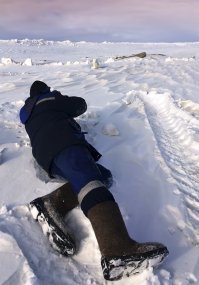 а это я фотографирую полярного лиса и сам портрет песца собственно