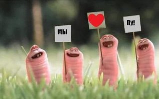 Страшно становится от мысли, сколько помойных чаек убил этот лайнер. Но ещё страшнее мысль о том, сколько выползших червяков погибло на этом кукурузном поле. Надо объявить траур по червякам в нашем сказочном королевстве.