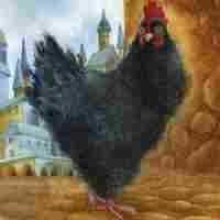 Так то Чернушка давно известна