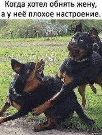 Из этой серии:)