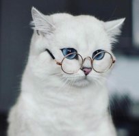 И днём и ночью кот учёный
Сидит, за иеблею следит;