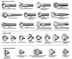 Прикольные и смешные картинки