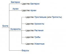 Биологическая систематика
